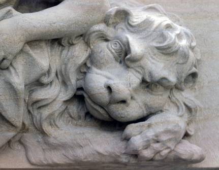 Detail, lion